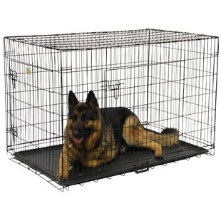 48 inch dog outlet pen